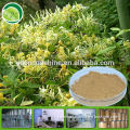 Organic herbal honey suckle flower extract powder/honey suckle p.e./ honey suckle powder/ chlorogenic acid 10%-70% HPLC